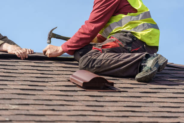 Best Roof Waterproofing Services  in Susitna North, AK