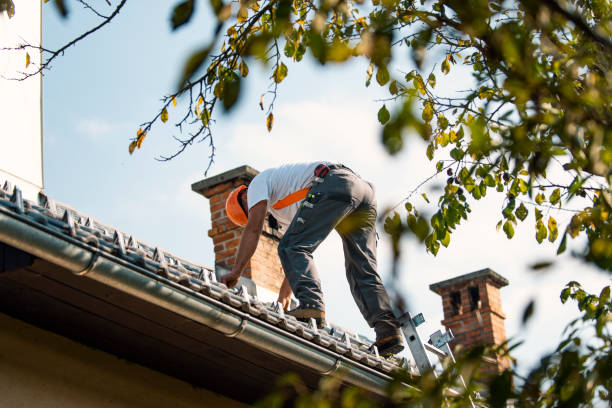 Best Commercial Roofing Services  in Susitna North, AK