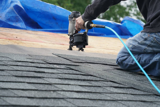 Best Gutter Installation and Roofing  in Susitna North, AK