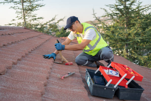 Best Commercial Roofing Services  in Susitna North, AK