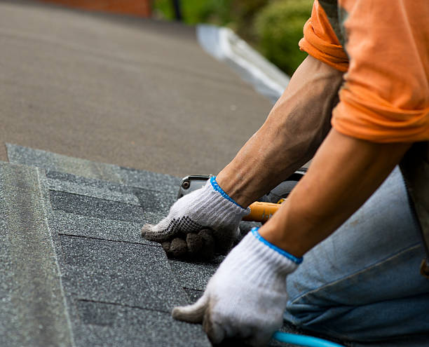 Best Storm Damage Roof Repair  in Susitna North, AK