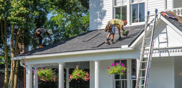 Best Roof Maintenance Services  in Susitna North, AK