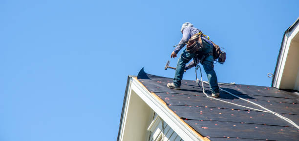 Gutter Installation and Roofing in Susitna North, AK